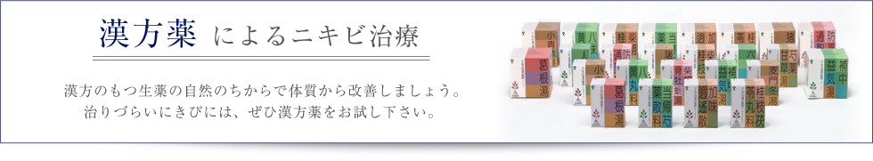 漢方薬によるニキビ治療 漢方のもつ生薬の自然のちからで体質から改善しましょう。治りづらいニキビには、ぜひ漢方薬をお試しください。